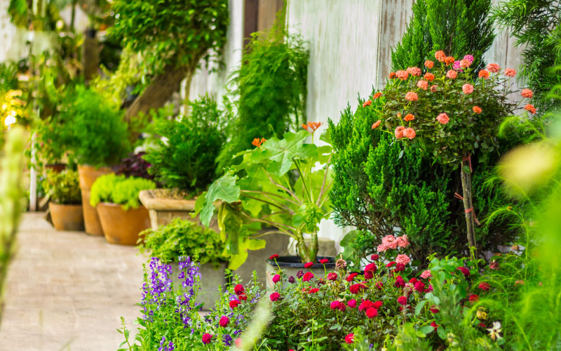 bgs_perfekter-garten_03